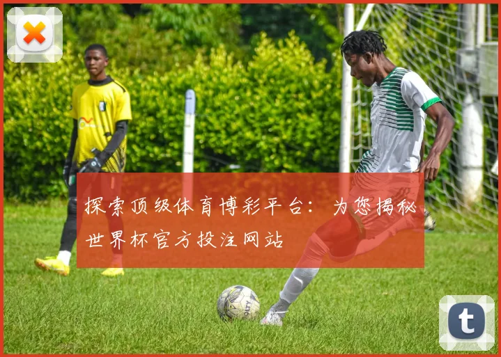 探索顶级体育博彩平台:为您揭秘世界杯官方投注网站