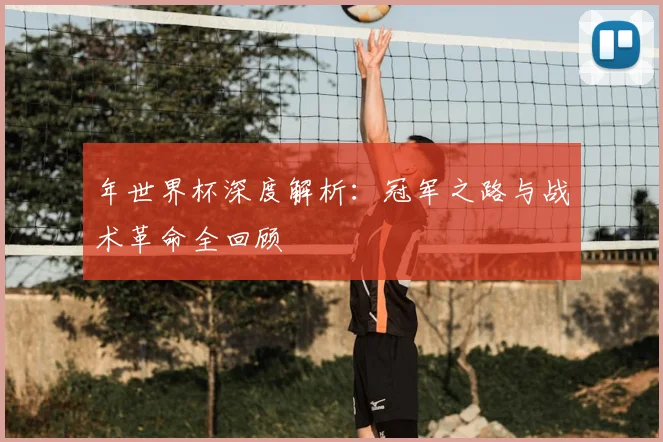 年世界杯深度解析:冠军之路与战术革命全回顾