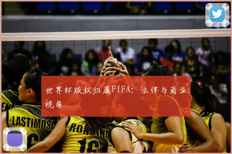世界杯版权归属FIFA:法律与商业视角