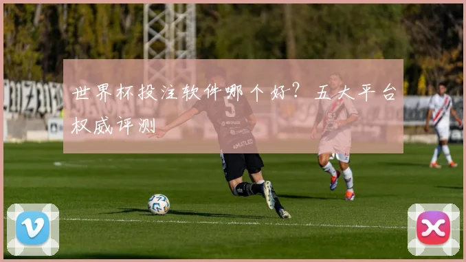 世界杯投注软件哪个好？五大平台权威评测