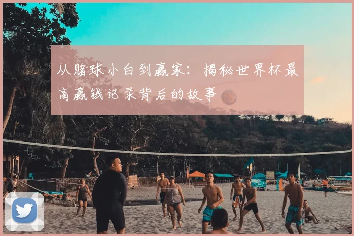 从赌球小白到赢家：揭秘世界杯最高赢钱记录背后的故事
