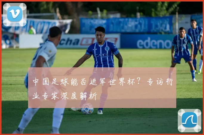 中国足球能否进军世界杯？专访行业专家深度解析