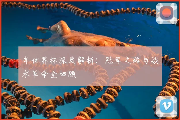 年世界杯深度解析：冠军之路与战术革命全回顾