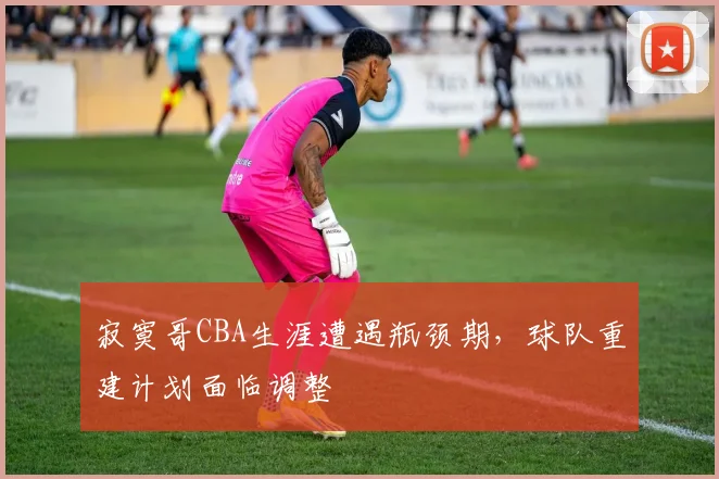 寂寞哥CBA生涯遭遇瓶颈期，球队重建计划面临调整