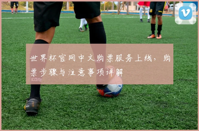 世界杯官网中文购票服务上线，购票步骤与注意事项详解
