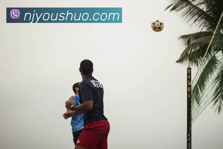 App Interface Preview